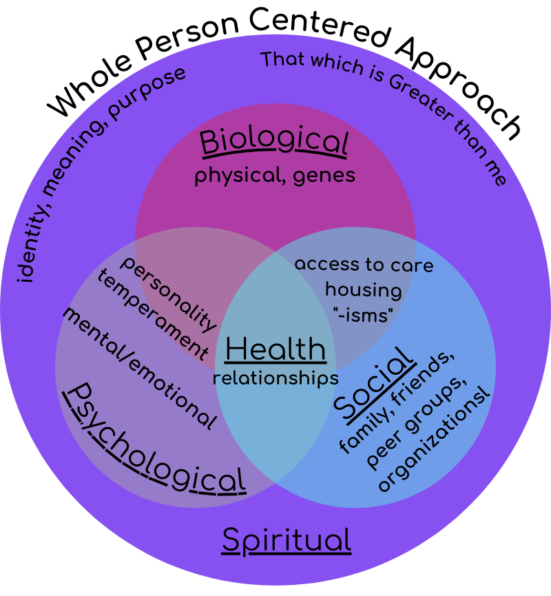 What Is A "Whole Person Centered" Approach? - Maitri Somatics