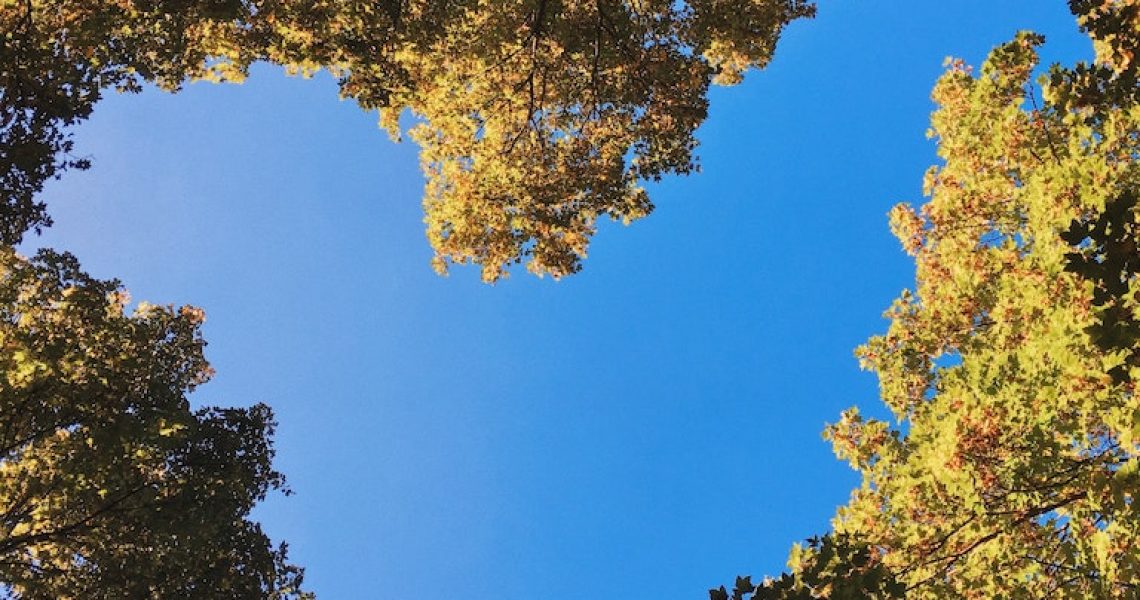 image of tree tops with blue sky, as if looking up from lying on the Earth, the sky is shaped like a heart with the words Gratitude, Thankfulness, and Appreciation in the yellow color of the tree leaves