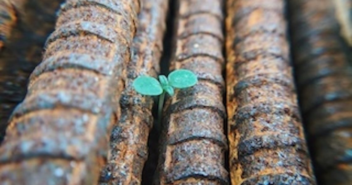 green bud through metal faris-mohammed-nYGVN45DOHg-unsplash